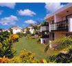 Rockley Plumtree Club Barbados