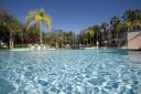 Westgate- BlueTree Pool Area